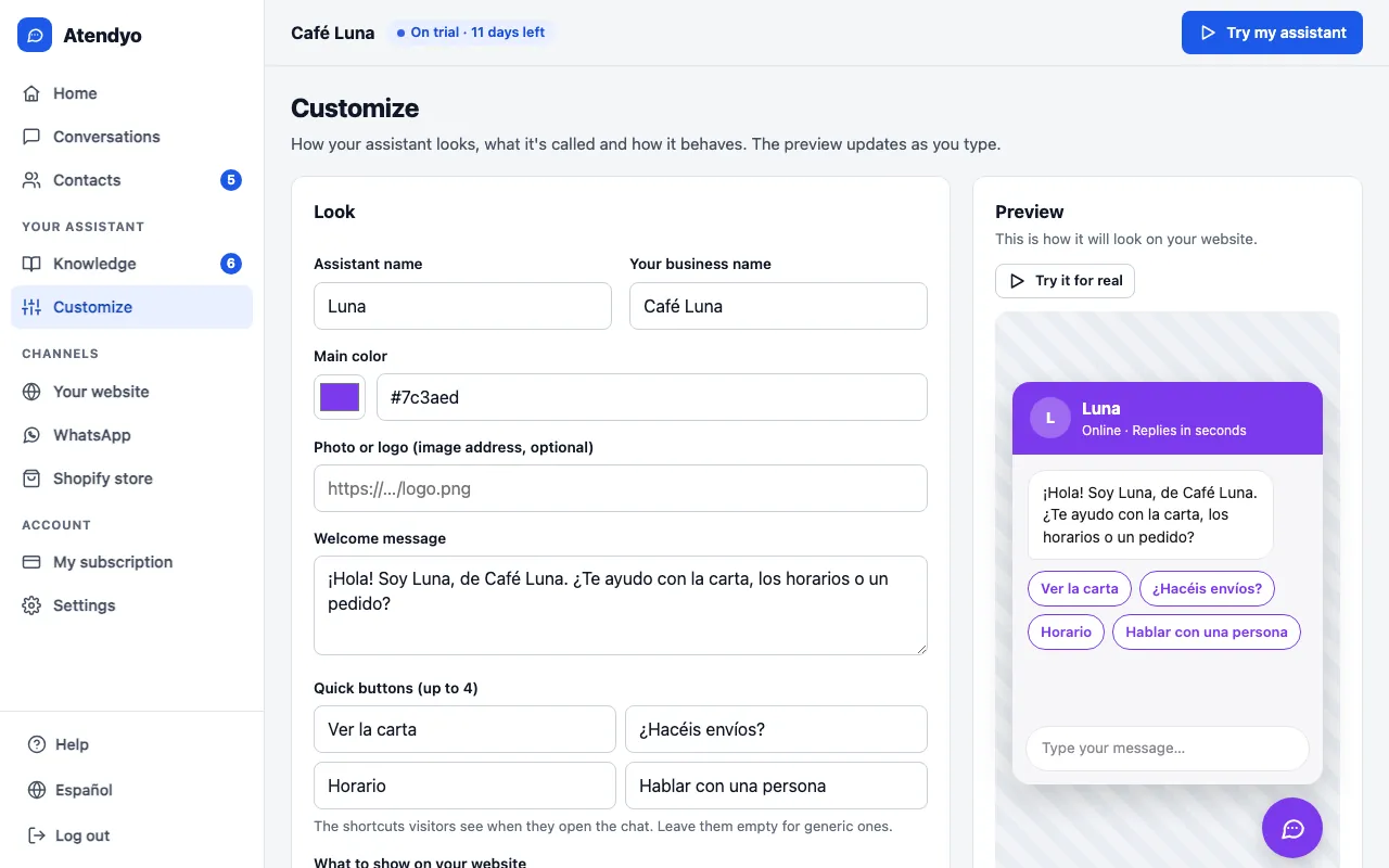 Customise screen: name, colour, welcome message and quick buttons, with the chat preview on the right.